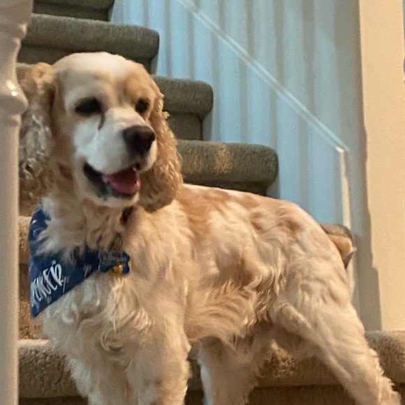 Meet your Posher, Gaylyn - Picture 7 of 11